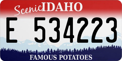 ID license plate E534223