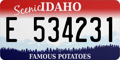 ID license plate E534231