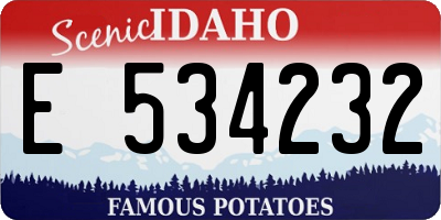 ID license plate E534232