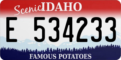 ID license plate E534233