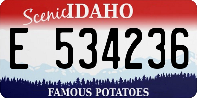 ID license plate E534236