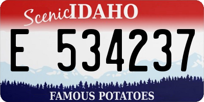 ID license plate E534237