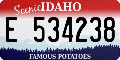 ID license plate E534238
