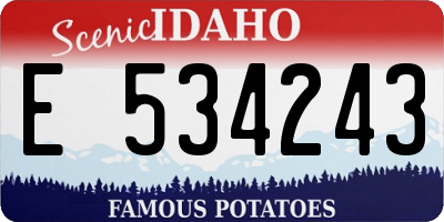 ID license plate E534243