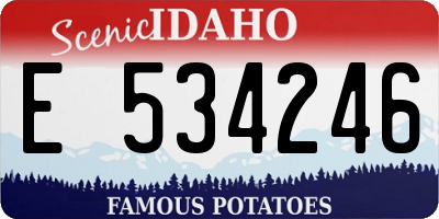 ID license plate E534246