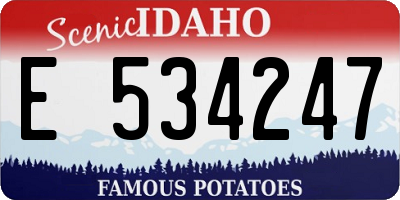 ID license plate E534247
