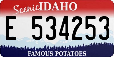 ID license plate E534253