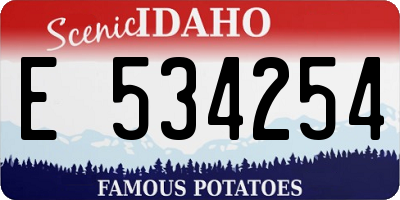 ID license plate E534254