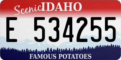 ID license plate E534255