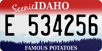 ID license plate E534256