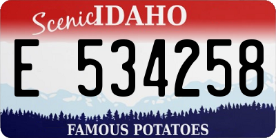ID license plate E534258