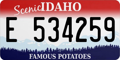 ID license plate E534259