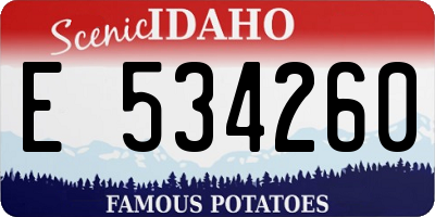 ID license plate E534260