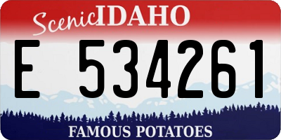 ID license plate E534261
