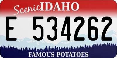 ID license plate E534262