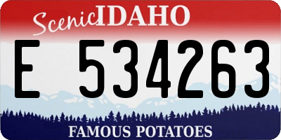 ID license plate E534263