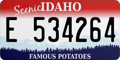 ID license plate E534264