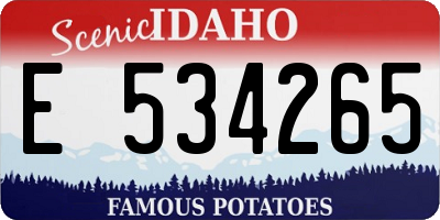 ID license plate E534265