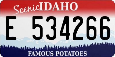 ID license plate E534266