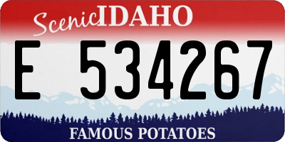 ID license plate E534267