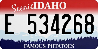 ID license plate E534268