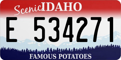 ID license plate E534271