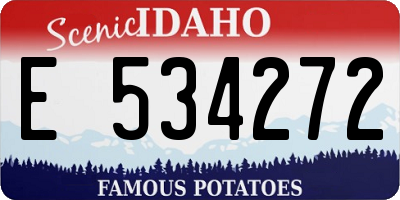 ID license plate E534272