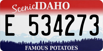 ID license plate E534273