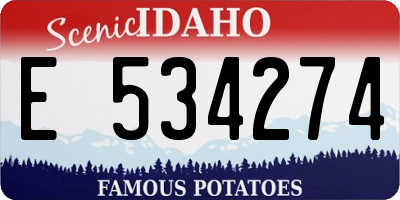 ID license plate E534274