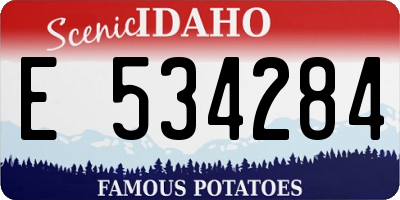 ID license plate E534284