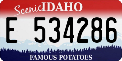 ID license plate E534286
