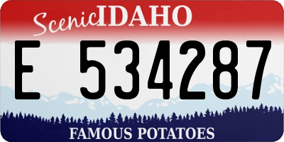 ID license plate E534287
