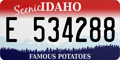 ID license plate E534288