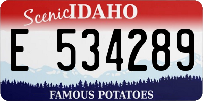 ID license plate E534289