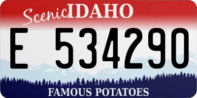 ID license plate E534290