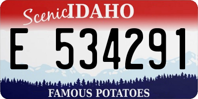 ID license plate E534291