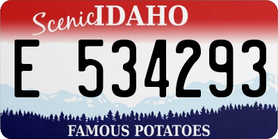 ID license plate E534293