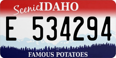 ID license plate E534294