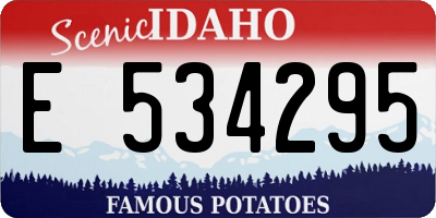ID license plate E534295