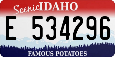 ID license plate E534296