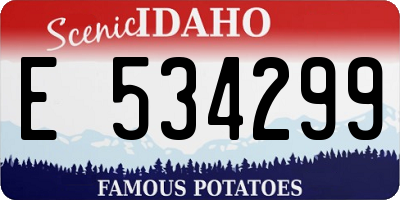 ID license plate E534299