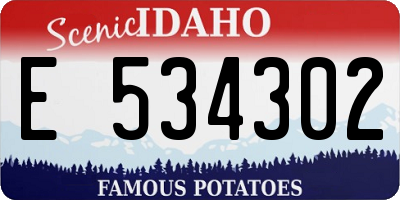 ID license plate E534302