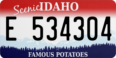 ID license plate E534304