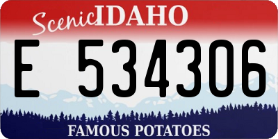 ID license plate E534306