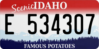 ID license plate E534307