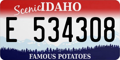 ID license plate E534308