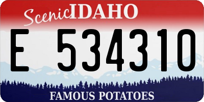 ID license plate E534310