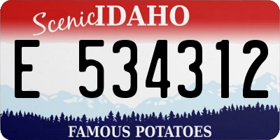 ID license plate E534312