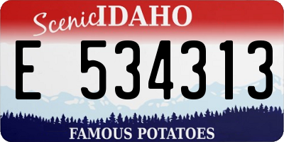 ID license plate E534313