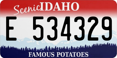 ID license plate E534329